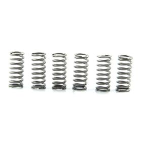 Kit 6 molle frizione EBC CSK144 per Kawasaki KLX