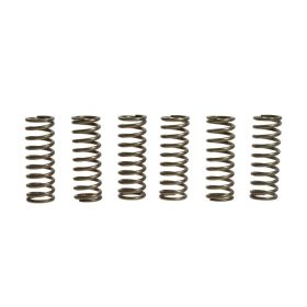 EBC CSK145 Kupplungsfederkit 6 für Suzuki