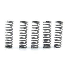 Kit 6 molle frizione EBC rinforzate 10% CSK169 per Kawasaki Z
