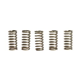 Kit 5 molle frizione EBC CSK179 per Ktm