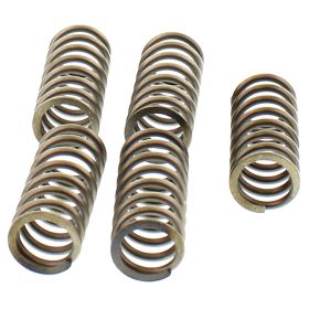 Kit 5 molle frizione EBC CSK188 per Honda