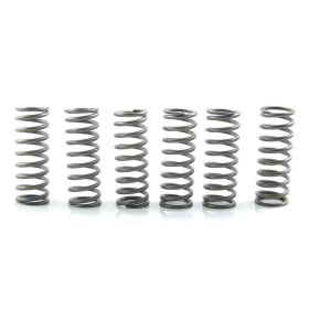 EBC CSK205 Kupplungsfederkit 6 für Suzuki GSX-R