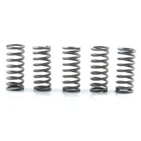 Kit 5 molle frizione EBC rinforzate 10% CSK206 per Honda