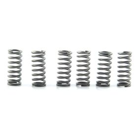 EBC CSK210 Clutch Spring Kit 6