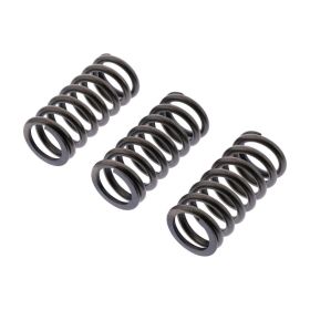 Molla frizione EBC CSK264 per BMW R