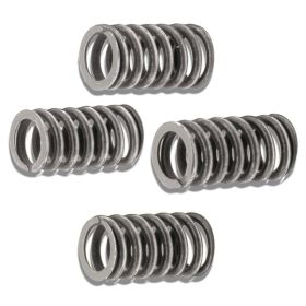 MALOSSI 2912235 Clutch springs