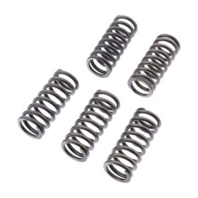 Kit 6 molle frizione EBC CSK262 per Triumph