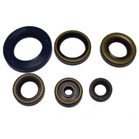 ATHENA P400270400047 Engine Seals Kit for Ktm