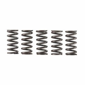 SURFLEX Standard 5 Kupferfedern Kit für Lambretta J50-125