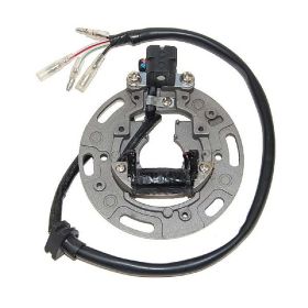 STATORE ELECTROSPORT