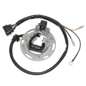 Stator moto ELECTROSPORT ESC1366