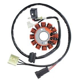 ELECTROSPORT STATORE RIF. 65051000