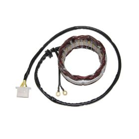 ELECTROSPORT STATORE