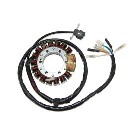STATORE ELECTROSPORT