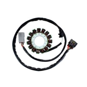 ELECTROSPORT STATORE POTENZA 400W