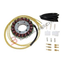 STATOR MOTO ELECTROSPORT ESG730