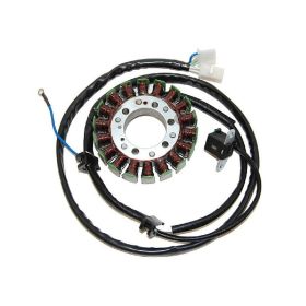 ELECTROSPORT STATORE RIF. 3DM814100000