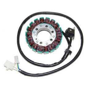 Stator moto ELECTROSPORT ESG791