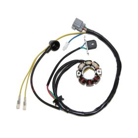 STATORE ELECTROSPORT