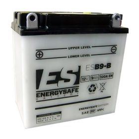Batteria Energysafe ESB9-B 12V/9AH