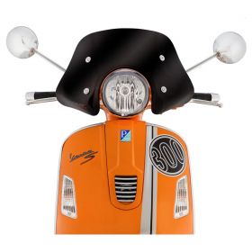 ERMAX ERM65351 Motorcycle windscreen