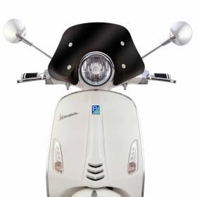Motorrad scheibe ERMAX ERM65359