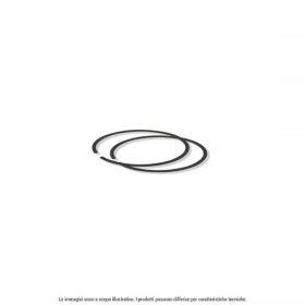 COPPIA FASCE ELASTICHE D. 39,9