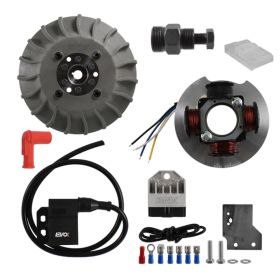 Accensione Elettronica EVOK Cono 19 1,4 Kg Anticipo Variabile