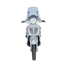Parabrezza scooter FABBRI fumé chiaro summer 445x345mm