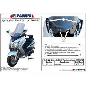 Parabrezza scooter FABBRI exclusive 600x670mm con finiture verniciate