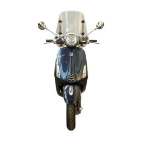 FABBRI scooter windscreen light smoke summer 460x270mm