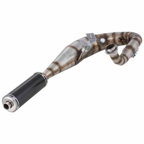 SIP PERFORMANCE MUSTANG Racing Exhaust in stainless steel with carbon silencer
