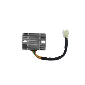 DZE single-phase voltage regulator 6 wires