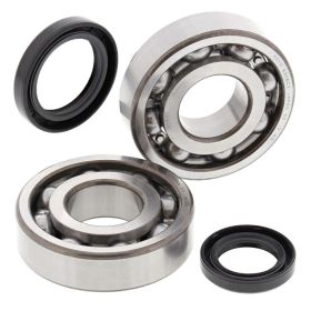 Kit roulements vilebrequin ALL BALLS 24-1038 joint d'étanchéité Suzuki LT 500 R QUADRACER