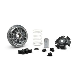 MALOSSI Multivar 2000 Variator für YAMAHA