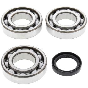 Kit de roulements de vilebrequin ALL BALLS 24-1076 avec joint d'étanchéité pour Polaris