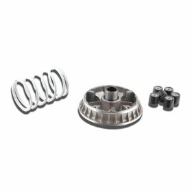 MALOSSI 5114264 Variator