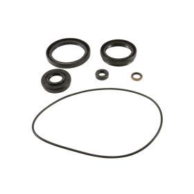 Kit revisione cuscinetti differenziale ALL BALLS anteriori 25-2120-5 per Kawasaki KVF 750