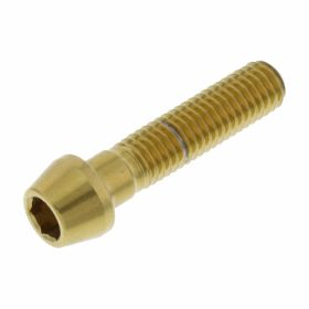 PRO-BOLT cone screw stainless steel M8x1.25 35mm glossy