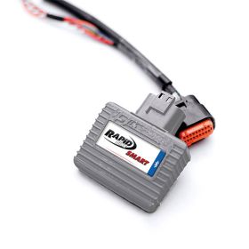 Kit ECU Smart Rapidbike avec câblage K27-SMR-008A