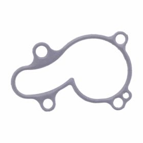 Guarnizione pompa acqua originale JMP 11061-1275 per Kawasaki KX