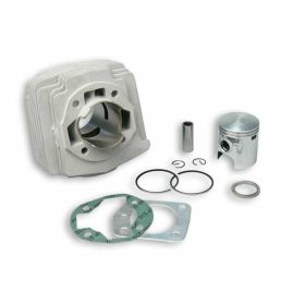 Zylinderkit MALOSSI 31 3013