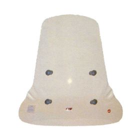 WINDSHIELD FACO 21201
