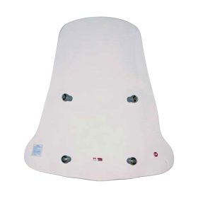 WINDSHIELD FACO 21746