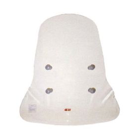 WINDSHIELD FACO 21831