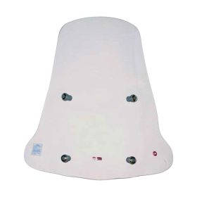 WINDSHIELD FACO 22106