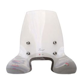 WINDSHIELD FACO 23116