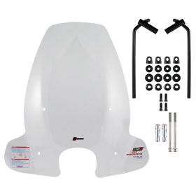 WINDSHIELD FACO 23161