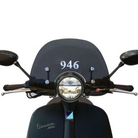 WINDSCREEN FACO 28361