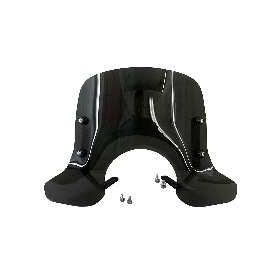 WINDSCREEN FACO 28595